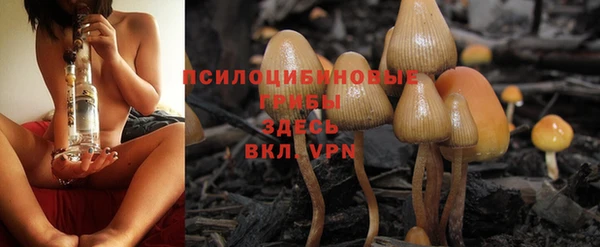 первитин Алексеевка