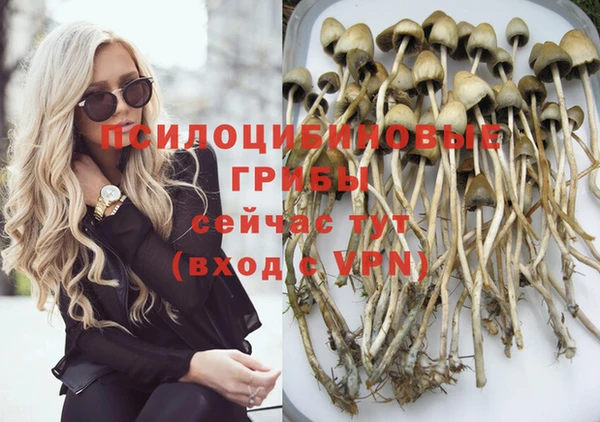 первитин Алексеевка